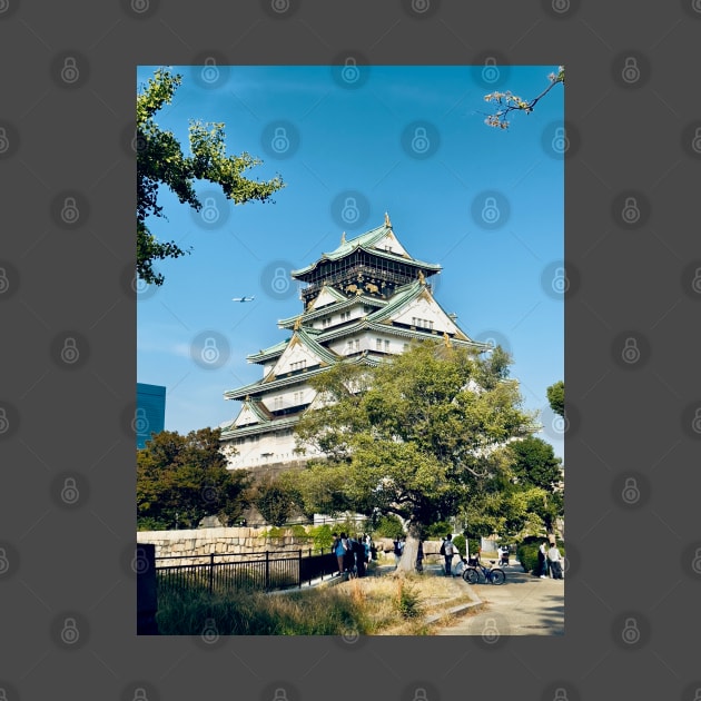 The Osaka Castle by dagobah_days