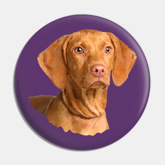 Vizsla  - Hungarian pointer puppy Pin by Nartissima