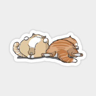 Cutie Sleepy Cats Magnet