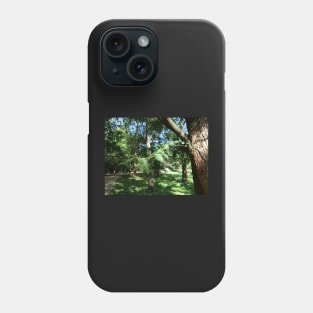 Tree leaves and sunlight - what more you want from nature Phone Case