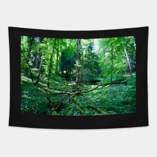 Urwald Schweiz / Swiss Artwork Photography Tapestry