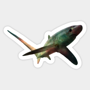 The Ninja Shark from TeePublic