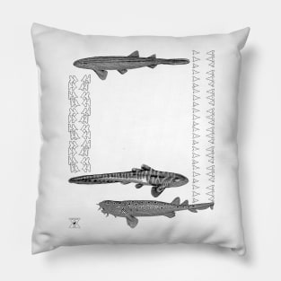 Sharks and Shark Teeth | Ocean Sea Animal Pillow