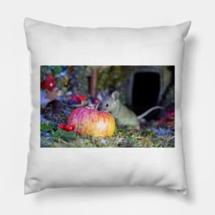 wild house mouse  with a apple Pillow