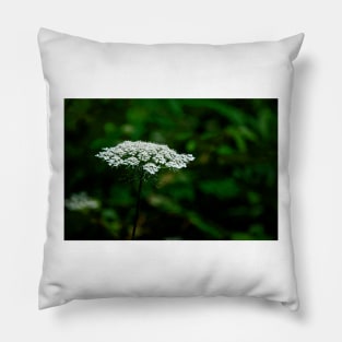 Queen Anne's Lace, White on Green Pillow