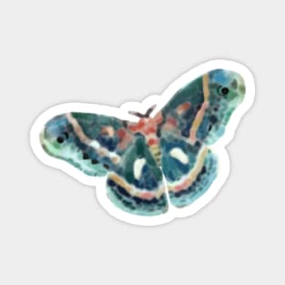 Tropical moth Magnet