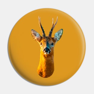 Roebuck stare Pin