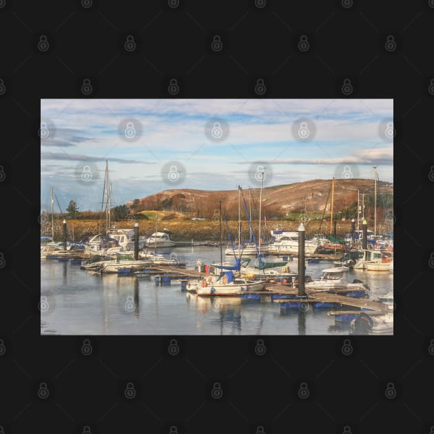 The Marina At Conwy by IanWL