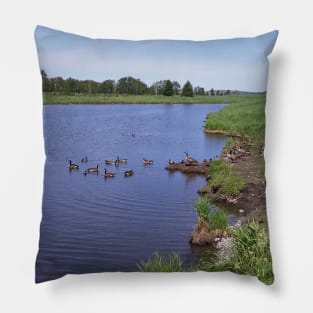 Ducks & Loons in Nature Pillow