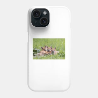 Red fox kit triplets Phone Case