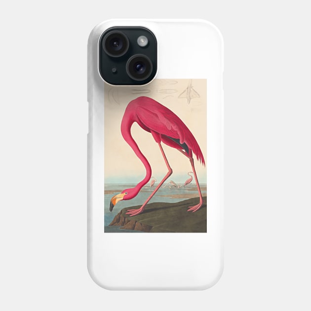 American Flamingo Robert Havell after John James Audubon 1838 Art Print Phone Case by ZiggyPrint