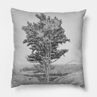 A study in grey of a lone tree. Pillow