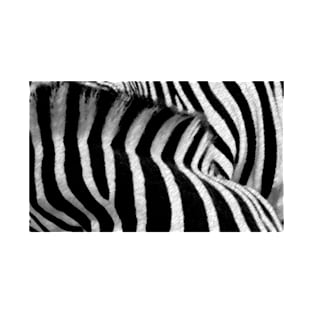 Zebra Crossing T-Shirt