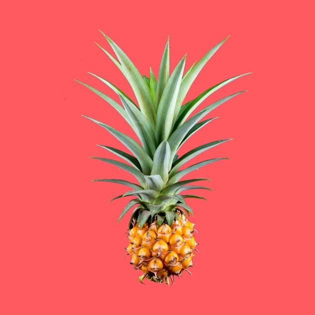 Pineapple Photograph by PatrioTEEism