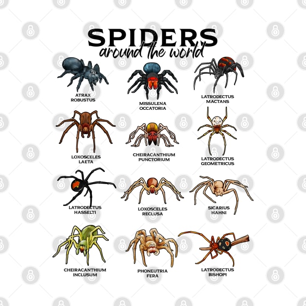 Spiders around the world - spider species by Modern Medieval Design