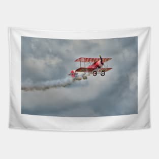 Biplane Tapestry