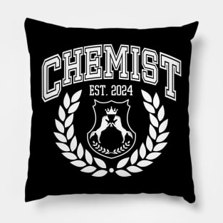 Chemistry Graduation College | Chemist 2024 Grad Pillow