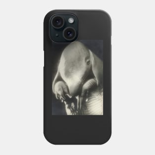 pere ubu 1936 - Dora Maar Phone Case