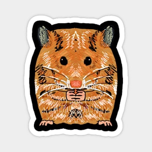 Hamster Magnet