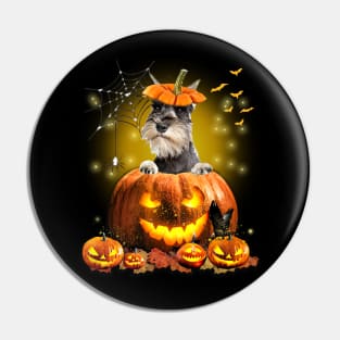 Grey Miniature Schnauzer Spooky Halloween Pumpkin Dog Head Pin