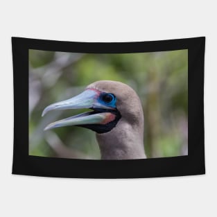 Red Footed Booby Tapestry