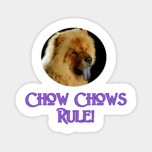 Chow Chows Rule! Magnet