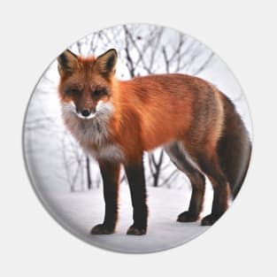 Fox Pin