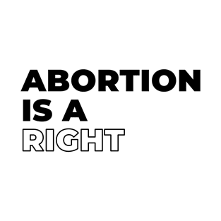 Abortion Feminist Women's Right Pro Life Human Rights T-Shirt