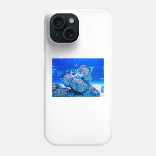 clownfish, anemonefish, aquarium, fish, ocean, sea, aquatic, anemone, clown fish, colorful, clown, coral, water, marine, tropical fish Phone Case