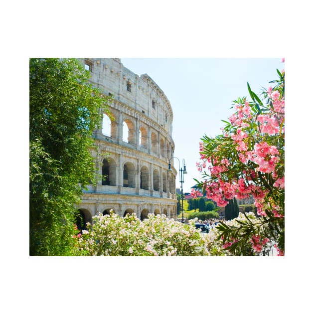 Colosseum Rome, Italy by HeavenlyTrashy