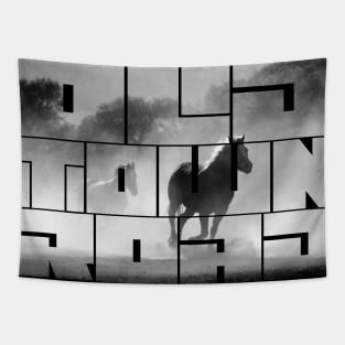 Old Town Road Horse Riding Wild Horse lover country music Tapestry