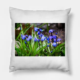 Scilla Spring Flowers Pillow