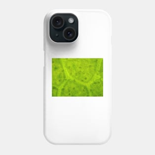 Magnolia leaf under the microscope Phone Case