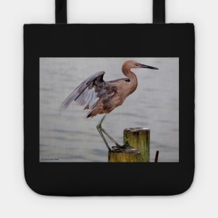 Egret Egress Tote