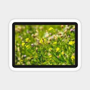 Wild plant illustration Magnet