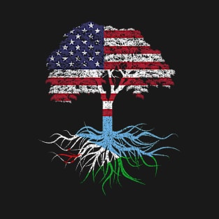 American Grown with Djiboutian Roots USA Flag T-Shirt