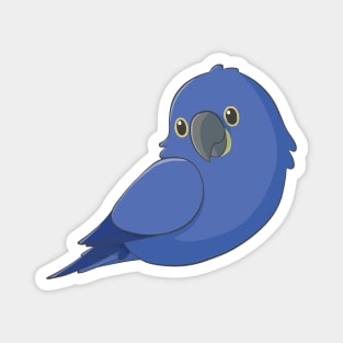 Cute fluffy hyacinth macaw Magnet