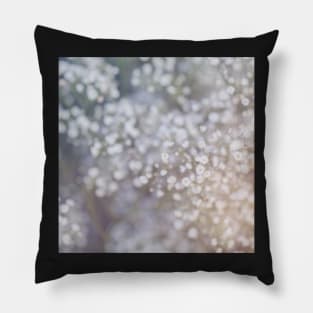 White Dandelion Flowers Pillow