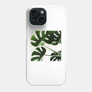 La feuille de monstera Phone Case