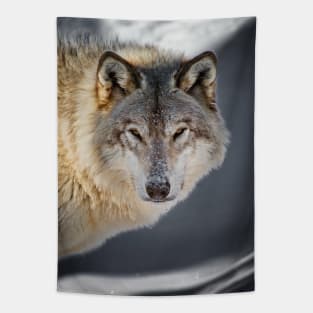 Gray Wolf Tapestry