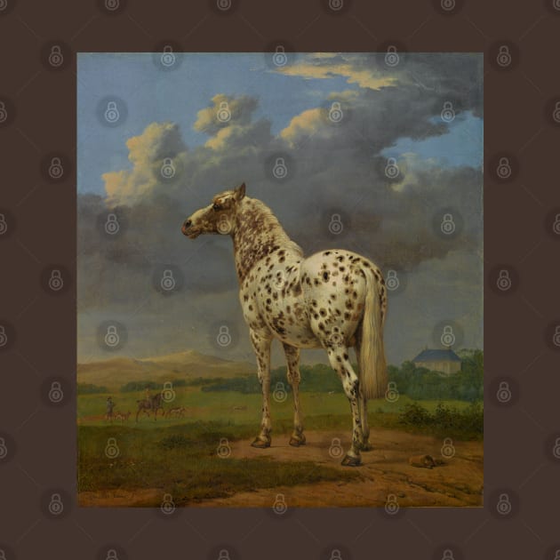 The 'Piebald' Horse by Paulus Potter by jojobob