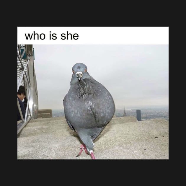 Who is she? Pigeon by unfriended