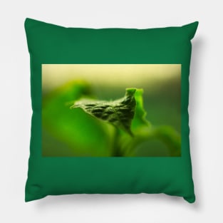 Green leaf Pillow