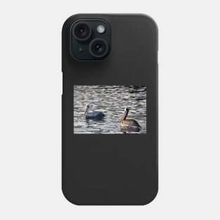 Pérou - Paracas, Pélicans Phone Case