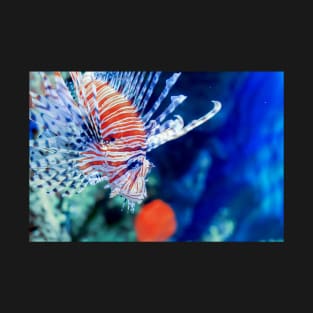 Red lionfish or zebrafish underwater T-Shirt