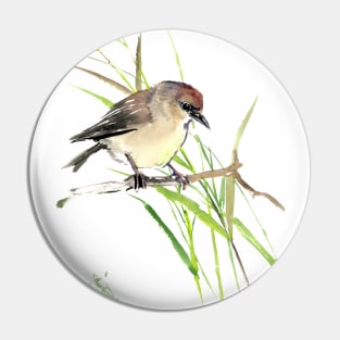 Garden warbler Pin