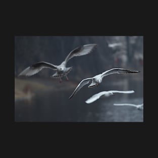 Gull on landing T-Shirt