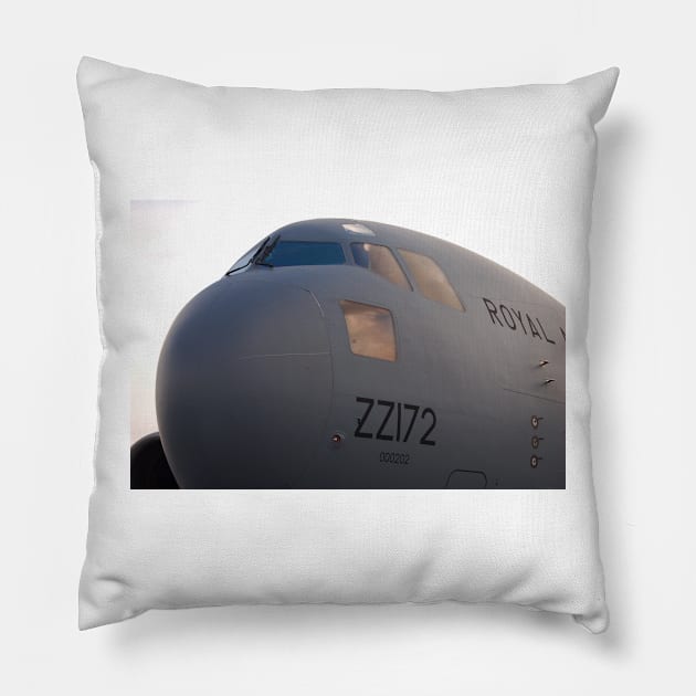 Queen Of The Sky Pillow by RichardGibb