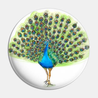 Peacock Fan Pin