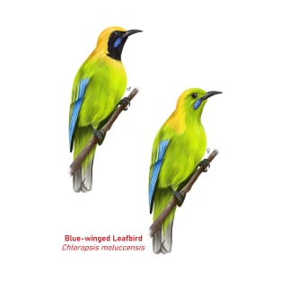 Blue-winged Leafbird | Chloropsis moluccensis ⚥ T-Shirt